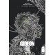 GIDEON FALLS VOL 1