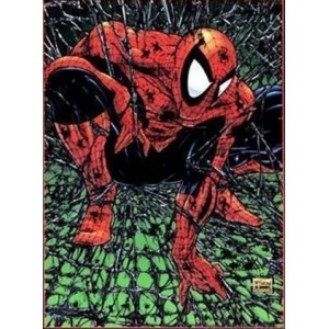 POSTER SPIDER MAN TORMENT DI MCFARLANE