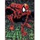 POSTER SPIDER MAN TORMENT DI MCFARLANE