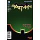 BATMAN 30 - THE NEW 52